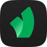 Антидетект браузер Vision