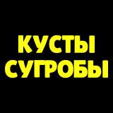 Кусты Сугробы Клубная
