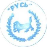 Теплотрон-Русь