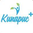 Кипарис+