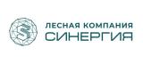Синергия