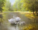 Центр семьи и брака "Гармония"