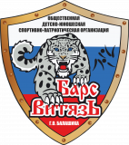 Барс-Витязь