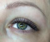 Beauty lashes |Ekaterina Zaika|