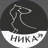 Ника39