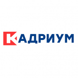 Кадриум - кадровый аудит