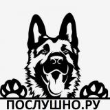 Послушно.ру