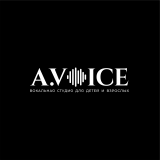 A. Voice