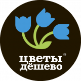 Цветы Дёшево