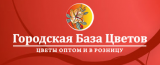 Доставка цветов пионерский. Городская база цветов Королев. Королев база цветов Королев. Городская база цветов логотип. Ивантеевка городская база цветов.