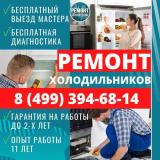 Королёв Холод