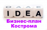 Бизнес-план-Кострома ТЭО