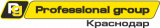 Professional group