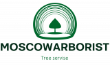 Арбористы Москвы