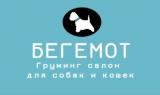 Бегемот