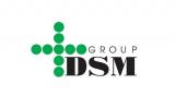 DSM Group