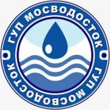 Государственное унитарное предприятие (ГУП) «Мосводосток»