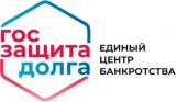 Госзащита долга