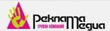 Группа компаний «Реклама Медиа»