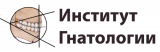 Институт Гнатологии