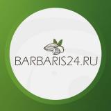 Интернет-магазин «Barbaris24.ru»