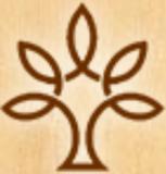 Компания «Arbogarden»