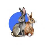 Коррекционный Логопедический Сад «Шепот развития»