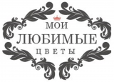 Мои любимые цветы