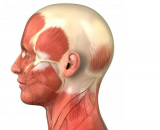 НогоСтоп.ру