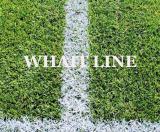  ООО Футбольные поля