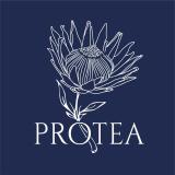 Protea