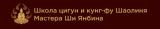 Школа цигун и кунг-фу Шаолиня Мастера Ши Янбина