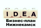 Бизнес-план Нижнекамск