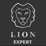 Автоподбор lion-expert.