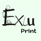 exluprint.ru