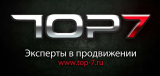 Интернет-компания Топ 7
