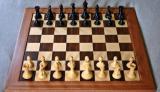 Школа шахмат Ивана Пятковского