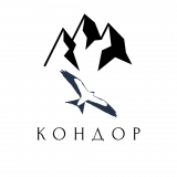 Кондор