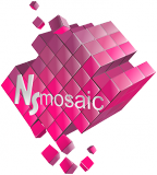 NSmosaic