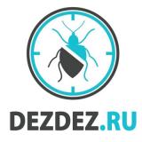 DezDez ru Пермь
