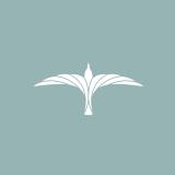 Белая Чайка