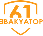  «Эвакуатор161»