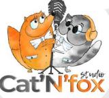 Cat'N'fox - студия озвучивания контента и рекламы