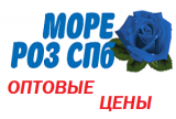 море роз спб