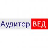 Аудитор ВЕД