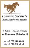 Торпан Securiti